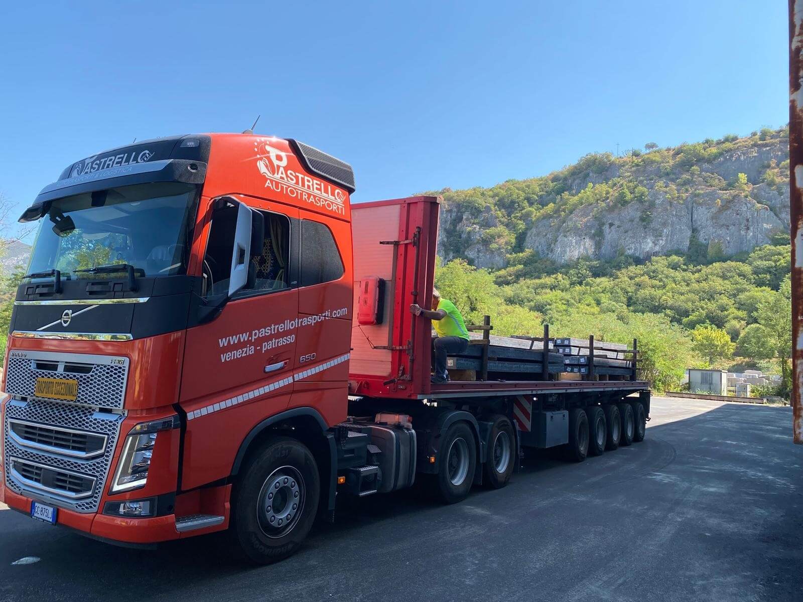 Transport profesionist